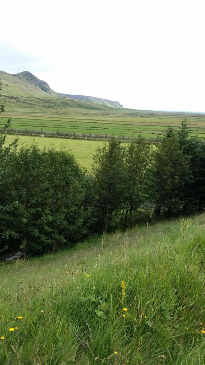 Giljur Guesthouse Vík Esterno foto